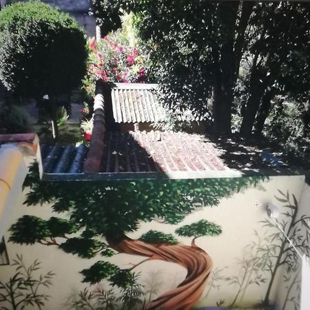 Suite Oisivete Avec Terrasse Vue Sur Patio Et Clim Montpellier Bagian luar foto